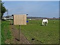 SK5865 : Horse and field stabling on Lamb Pens Farm by Neil Theasby