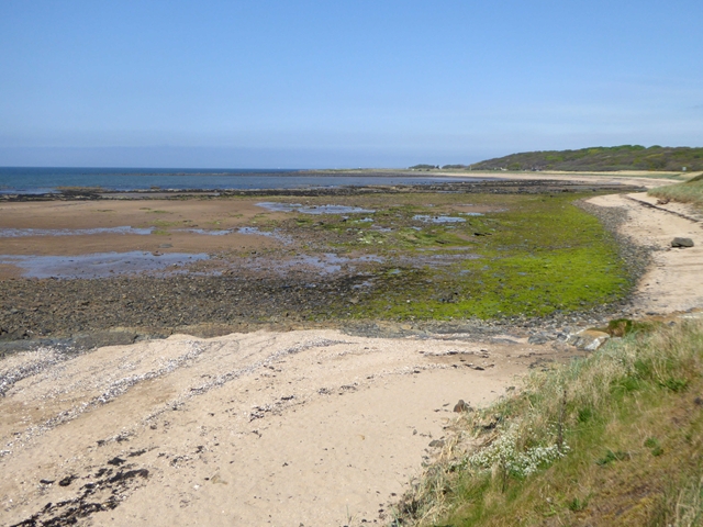 Seashore at Longniddry © Oliver Dixon cc-by-sa/2.0 :: Geograph Britain ...