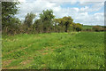 Grass field near Lower Severalls Farm solar farm