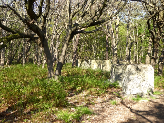 World War II defences in Harestanes Wood