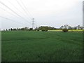 NZ1074 : Pylons through Farmland by Les Hull