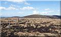 NT2430 : Fence crossing moorland close to un-named summit by Trevor Littlewood