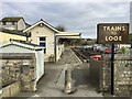 Trains to Looe