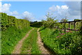 Track between fields near Little Park