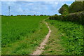 Permissive path in field beside Salisbury Road