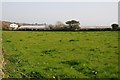 SW6234 : Field near Clowance Wood by Philip Halling