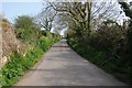 Country road near Leedstown