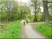 NT1479 : Cycle path through the Dalmeny Estate by Oliver Dixon