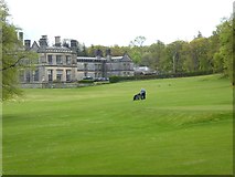 NT1678 : Golf at Dalmeny House by Oliver Dixon