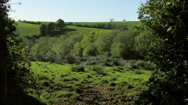Fields near Heaton