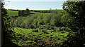 Fields near Heaton