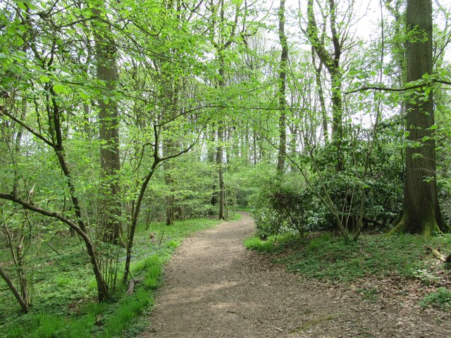 Path In High Wood To Dodford © Jeff Gogarty Cc-by-sa 2.0 :: Geograph 