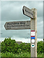 SO9163 : Wychaven Way signpost east of Droitwich Spa, Worcestershire by Roger  Kidd