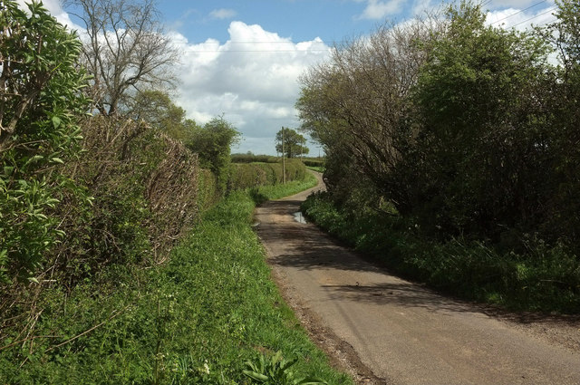 New Lane © Derek Harper :: Geograph Britain and Ireland