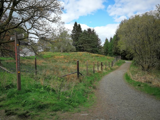 West Highland Way, near Carbeth