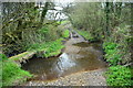 Gwyddfan Ford