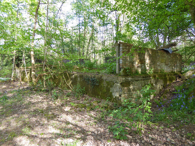Ruin by pond, Mountfield © Robin Webster cc-by-sa/2.0 :: Geograph ...