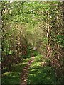 Footpath to Farmoor