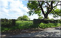 Field entrance off the A525, Cross Lanes