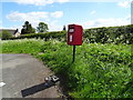 SJ4044 : Elizabeth II postbox on Hollybush Lane, Holly Bush by JThomas