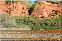 SX9777 : Rock erosion along the railway track, Dawlish by John C