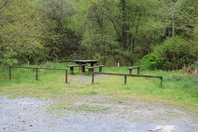 Picnic Area, Wood of Cree © Billy McCrorie :: Geograph Britain and Ireland