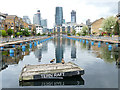 The tern raft, Clippers Quay