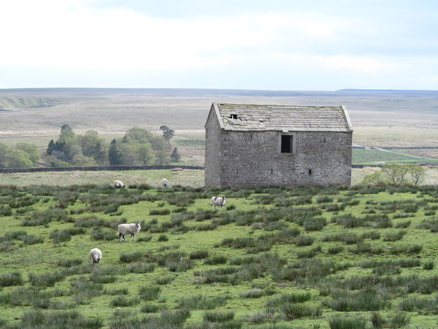 Field barn, Lunedale