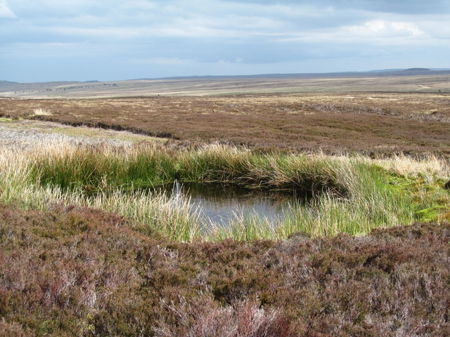 Small pond on the moor