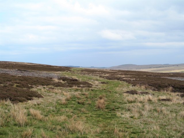 A green line across the moor