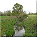 TQ6596 : River Wid: Boundary between Mountnessing & Billericay  by Roger Jones