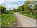 Bend in Hetherson Green Lane