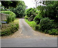 Penny Plot, Lyme Regis