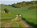 Track and farmland, Ewelme