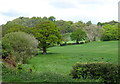 Farmland near Broxton Wood