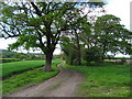 Farm track off Whitchurch Road (A41)