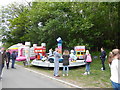 All the fun of the Blackheath May Day Fair (4)