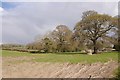 Field off Wootton Lane