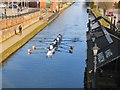 SJ7892 : Rowers on the Bridgewater Canal by Gerald England