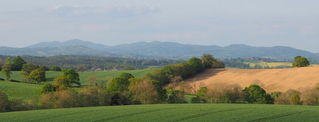 Malvern Hills in the far distance