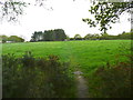 Public footpath off West End Lane