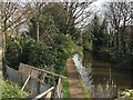 A leafy stretch of the Grand Union Canal, Warwick