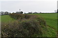 Hedge and bank near Trethennal Manor