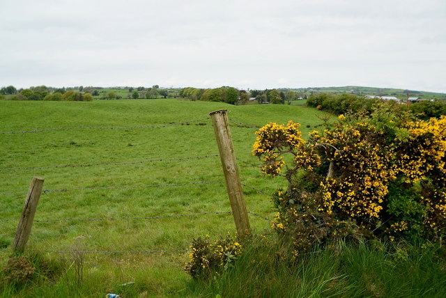 Whins, Tievenny © Kenneth Allen cc-by-sa/2.0 :: Geograph Ireland