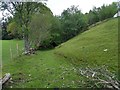 The bridleway enters Coed Uchaf