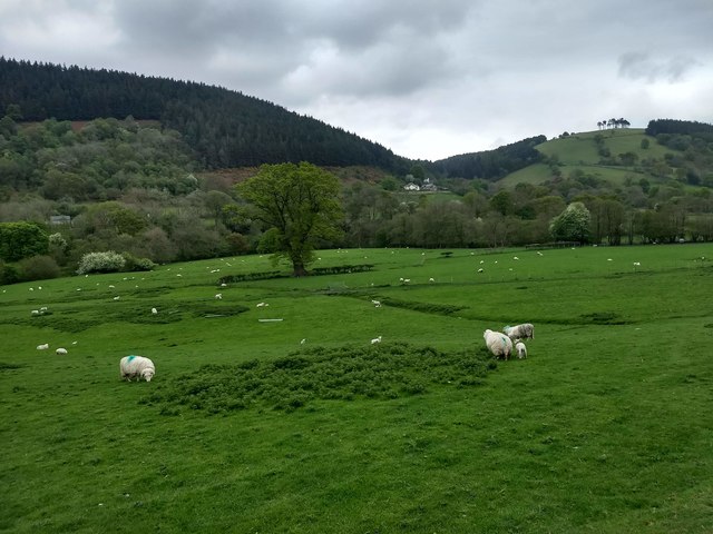 Looking over Cwm Pennant