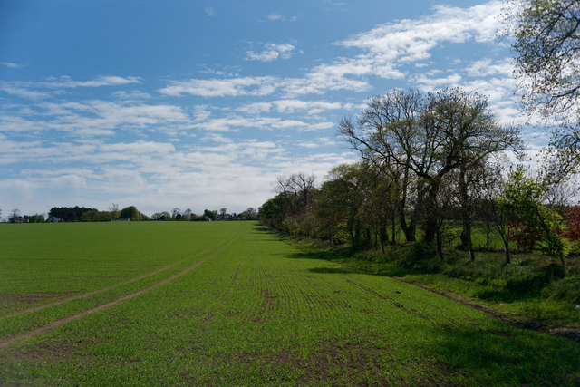 Large field below Geanies © Julian Paren :: Geograph Britain and Ireland