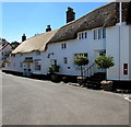 Vicarage Road thatched cottages, Minehead