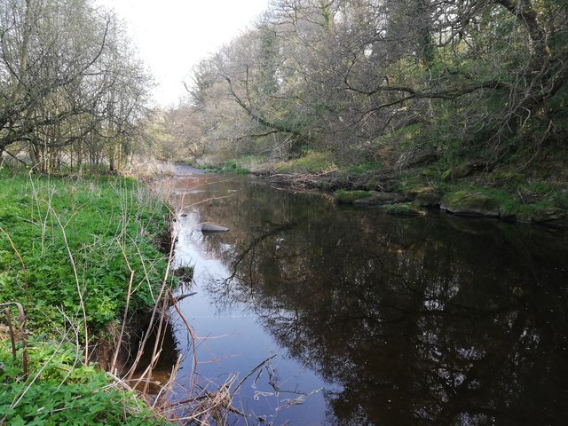 River Derwent between East Law and Shotley Bridge