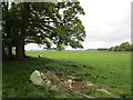 Grass field next to Castle Farm